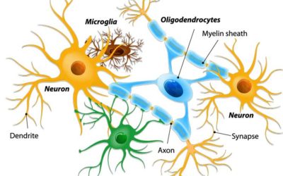 Acupuncture Proven to Stop Pain by Microglial Deactivation
