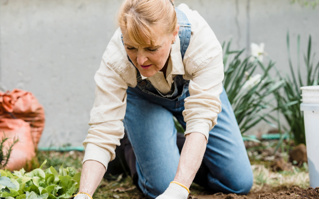 Spring Stride: A Gardener’s Guide to Planting Without Low Back and Knee Pain